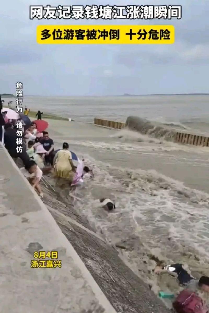 #钱塘江涨潮多位游客被冲倒